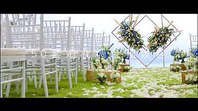 pr婚礼调色预设模板视频的预览图